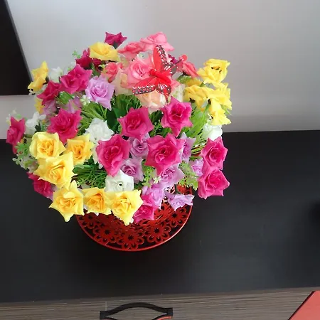 Διαμέρισμα Felicia Mamaia