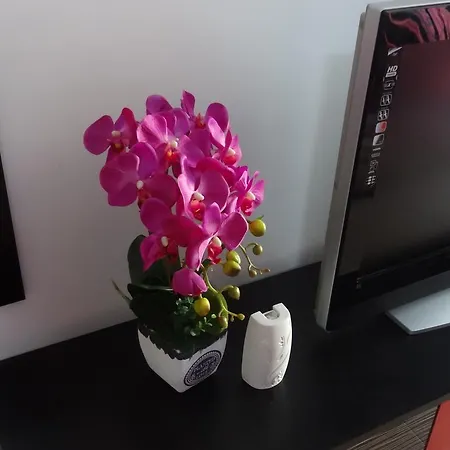 Felicia Apartment