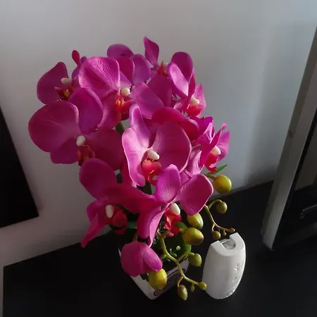 Felicia Διαμέρισμα *