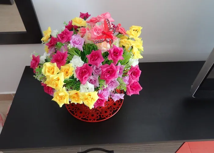 アパート Felicia ママイア