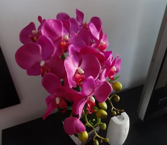 Felicia アパート *