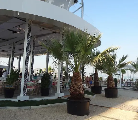 Apartment Felicia Mamaia